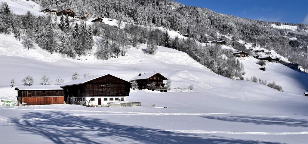 Ferienwohnung Bauernhof Obererlach Bramberg am Wildkogel Εξωτερικό φωτογραφία